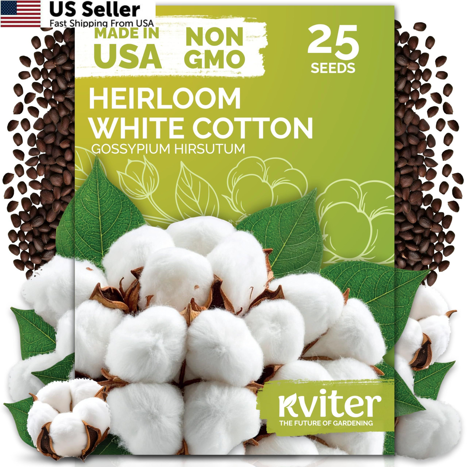 KVITER 25 White Cotton Seeds for Planting (Gossypium hirsutum) – Real