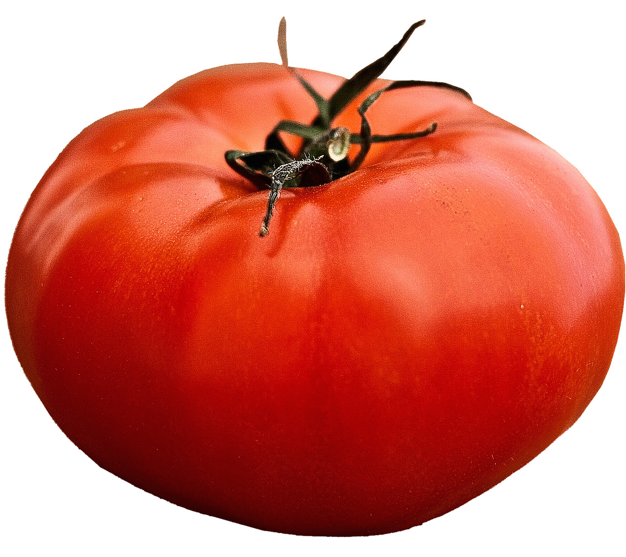 150+ SEEDS TOMATO ALL-AMERICAN GIANT BEEFSTEAK MASSIVE FRUITS HEIRLOOM VEGETABLE