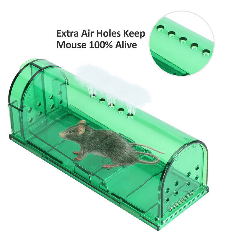 Humane Mouse Traps – 2/4 Pack – Live Catch and Release Mousetrap Reusable Cages