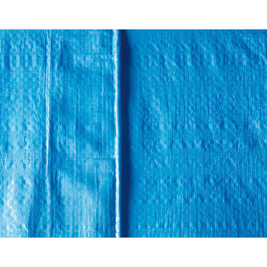 Tarplex 8 ft. x 10 ft. Greater Blue All Purpose Tarp 5 Mil Poly, Waterproof UV