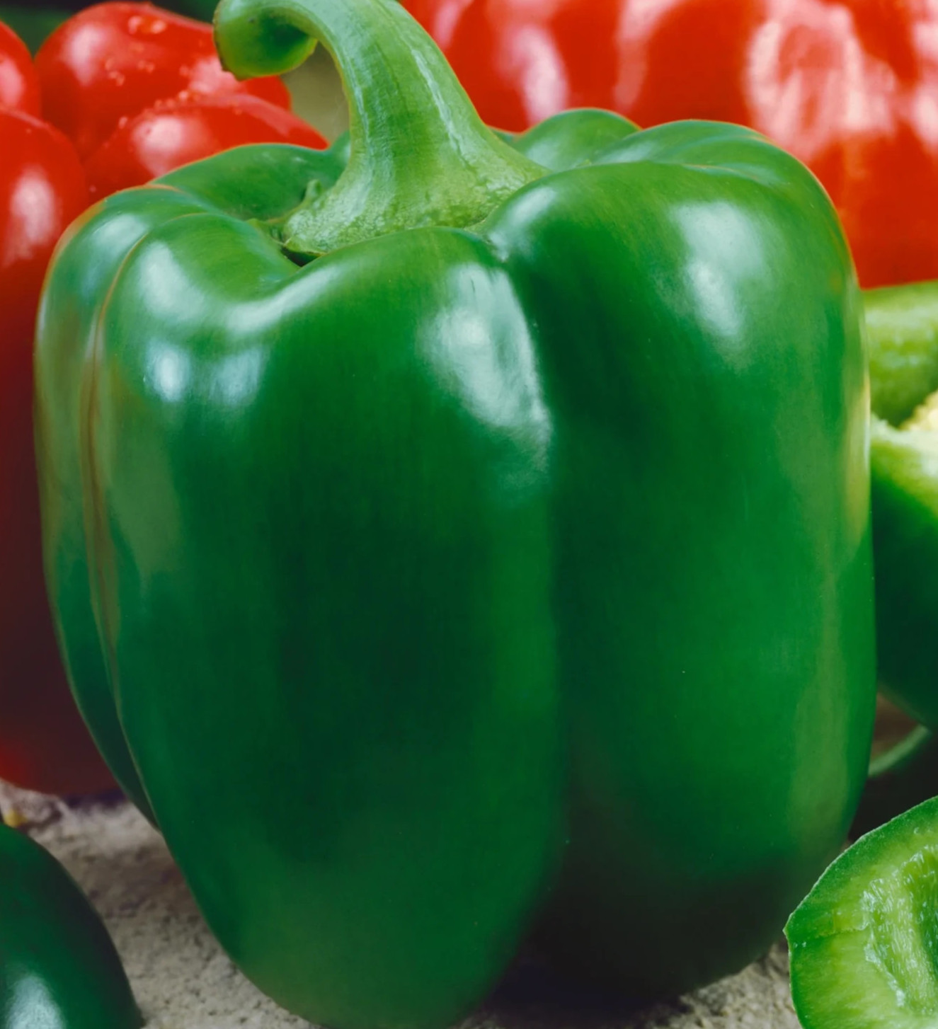 CHINESE GIANT Y BELL PEPPER SEEDS 50+ SWEET vegetable GARDEN CAPSICUM non-gmo