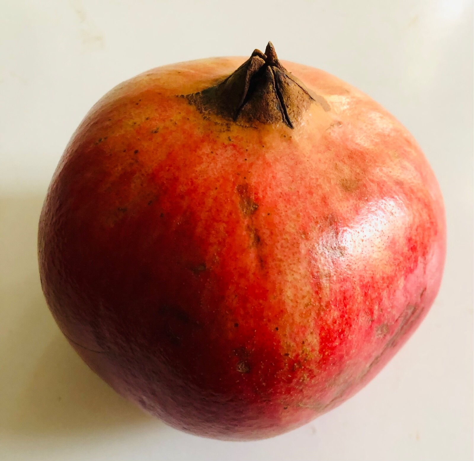 25PCS DWARF POMEGRANATE TREE SEEDS PUNICA GRANATUM NANA GARDEN FRUIT HOUSE PLANT