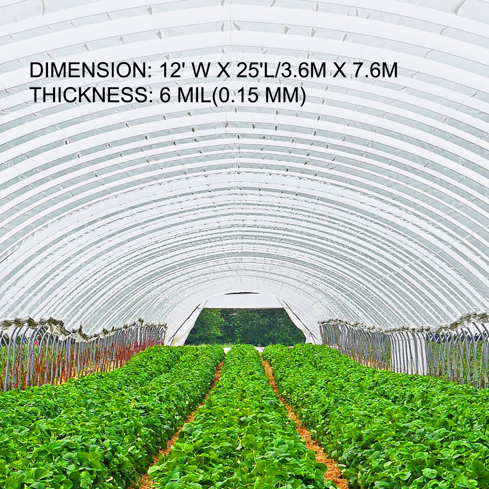 VEVOR Greenhouse Film, Greenhouse Polyethylene Film 12×25 ft Greenhouse Plastic