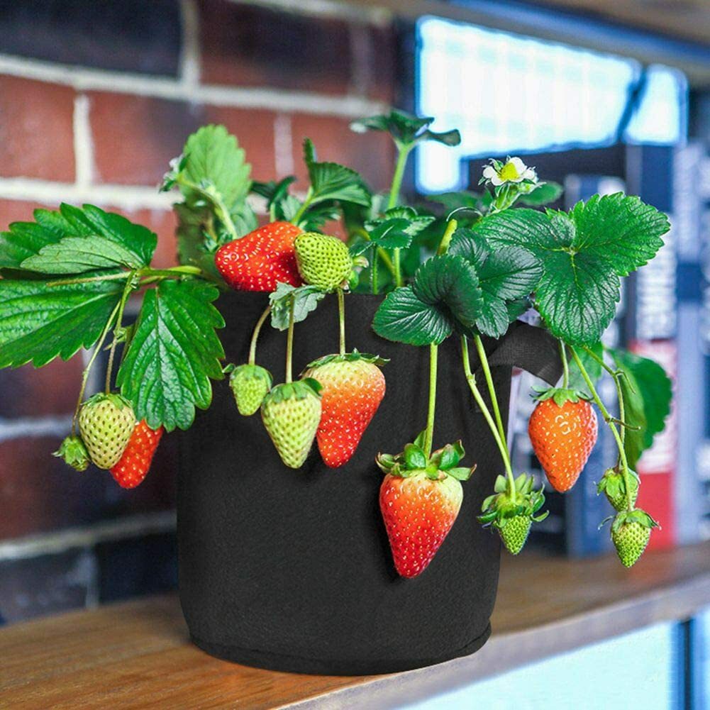 5/10 Pk Plant Grow Bags Thickened Nonwoven Fabric Pot Nursery Soil Bag 5/7Gallon