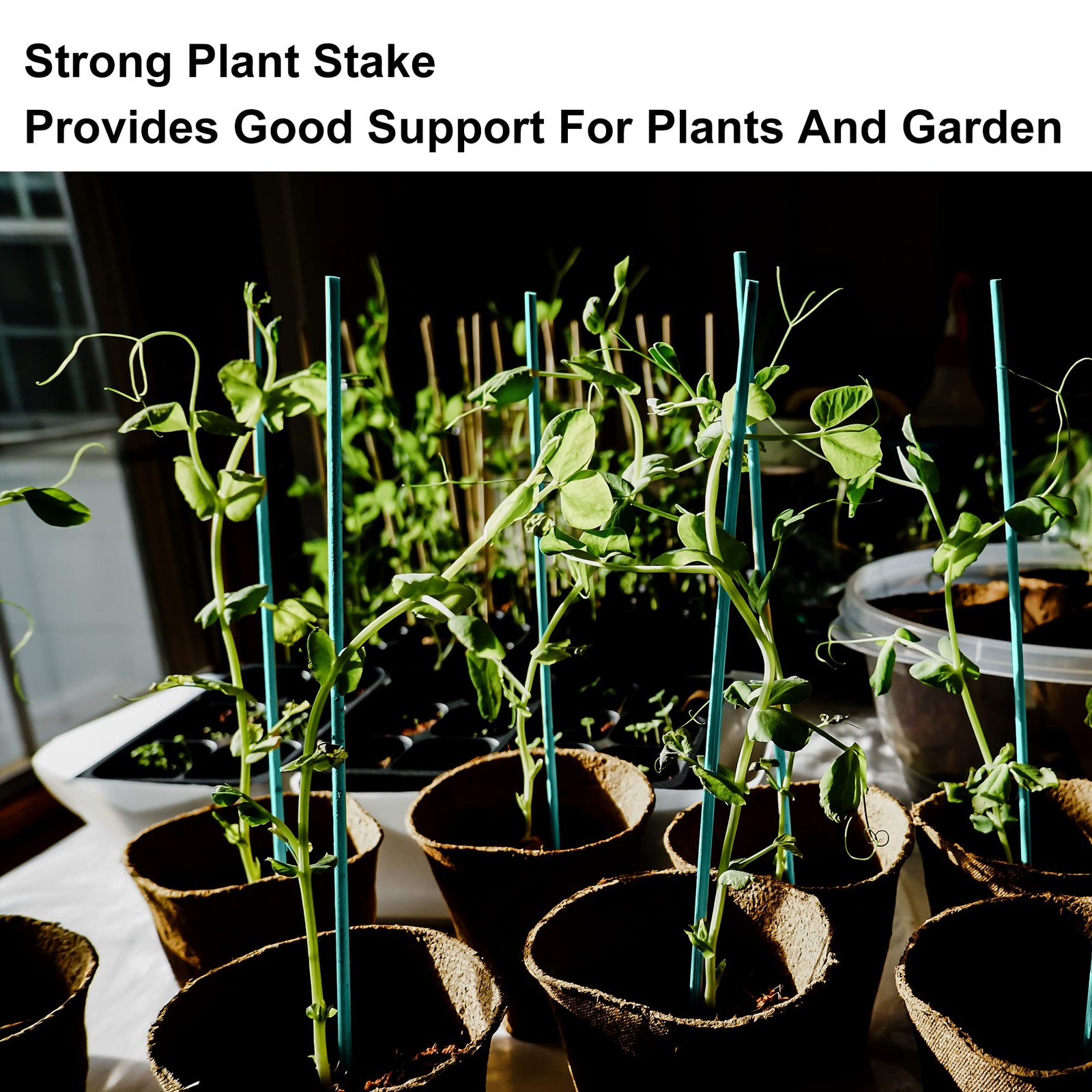 50 PCS 18″ Plant Sticks Support, Green Bamboo Sticks, Garden Wood Plant Stake…
