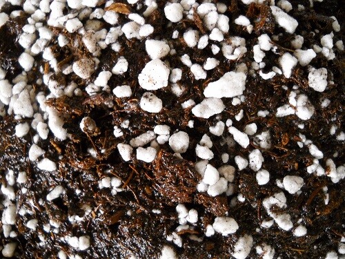 ORGANIC Potting Soil Mix Sphagnum Peat Moss 50% & Perlite 50% – 5 cups-