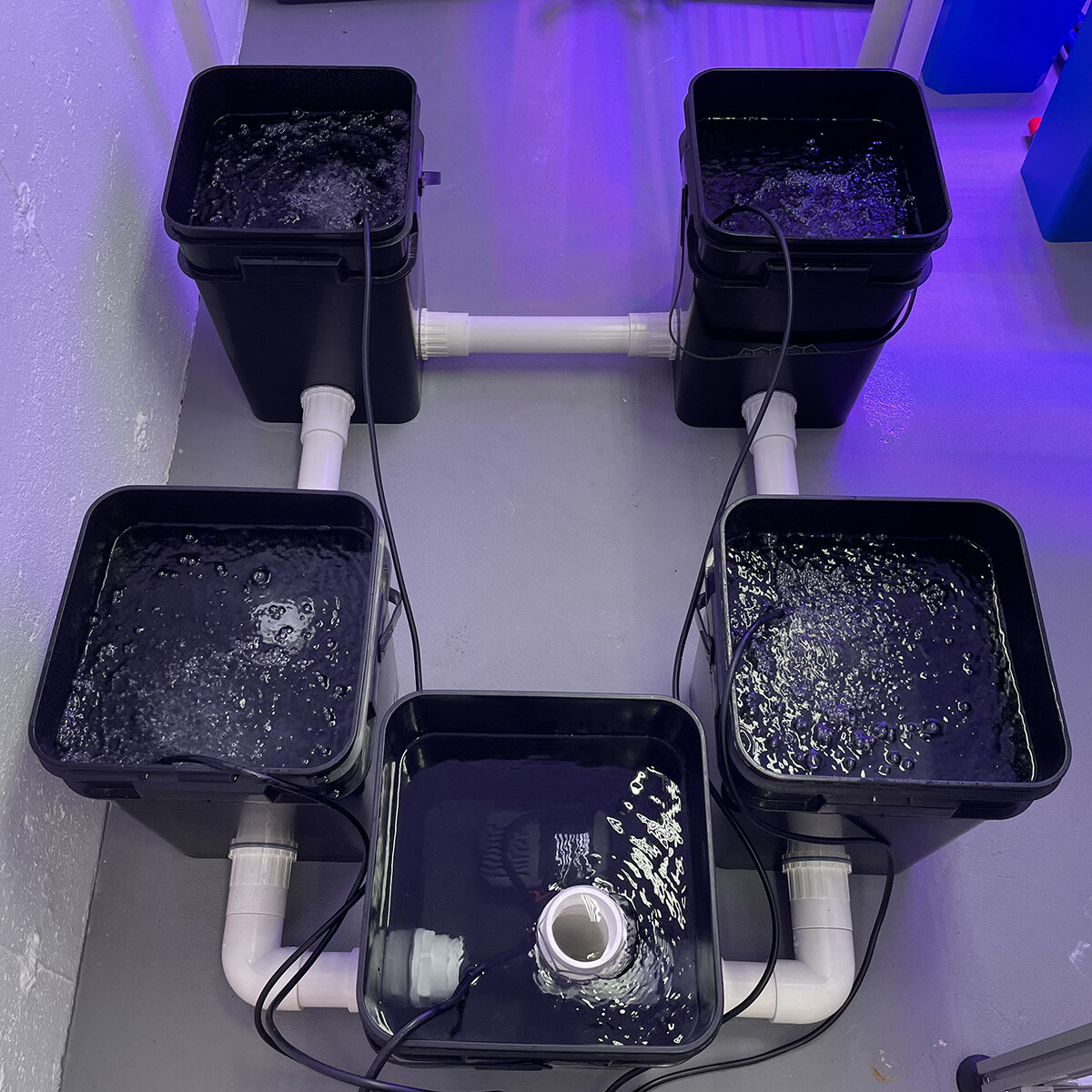 Recirculating Deep Water Culture (RDWC) Hydroponic Grow Kit System