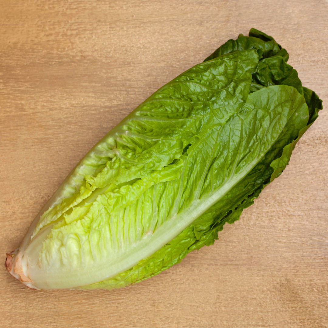 Fresh Crisp Giant Caesar Romaine Lettuce Seeds| Heirloom Non-GMO | Vegetables
