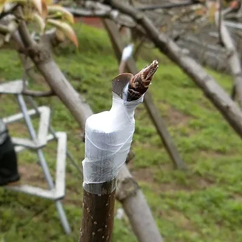 4pcs Aglis New Medel Buddy Tape Grafting Tape 25mm×30M Agricultural Materials