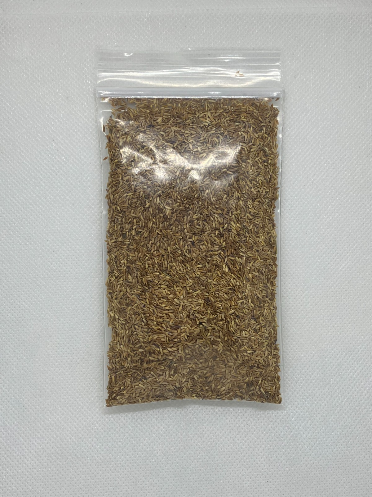 Zenith Zoysia 12,000+ Grass Seeds for a Healthy, Low-Maintenance Lawn – 1 ounce