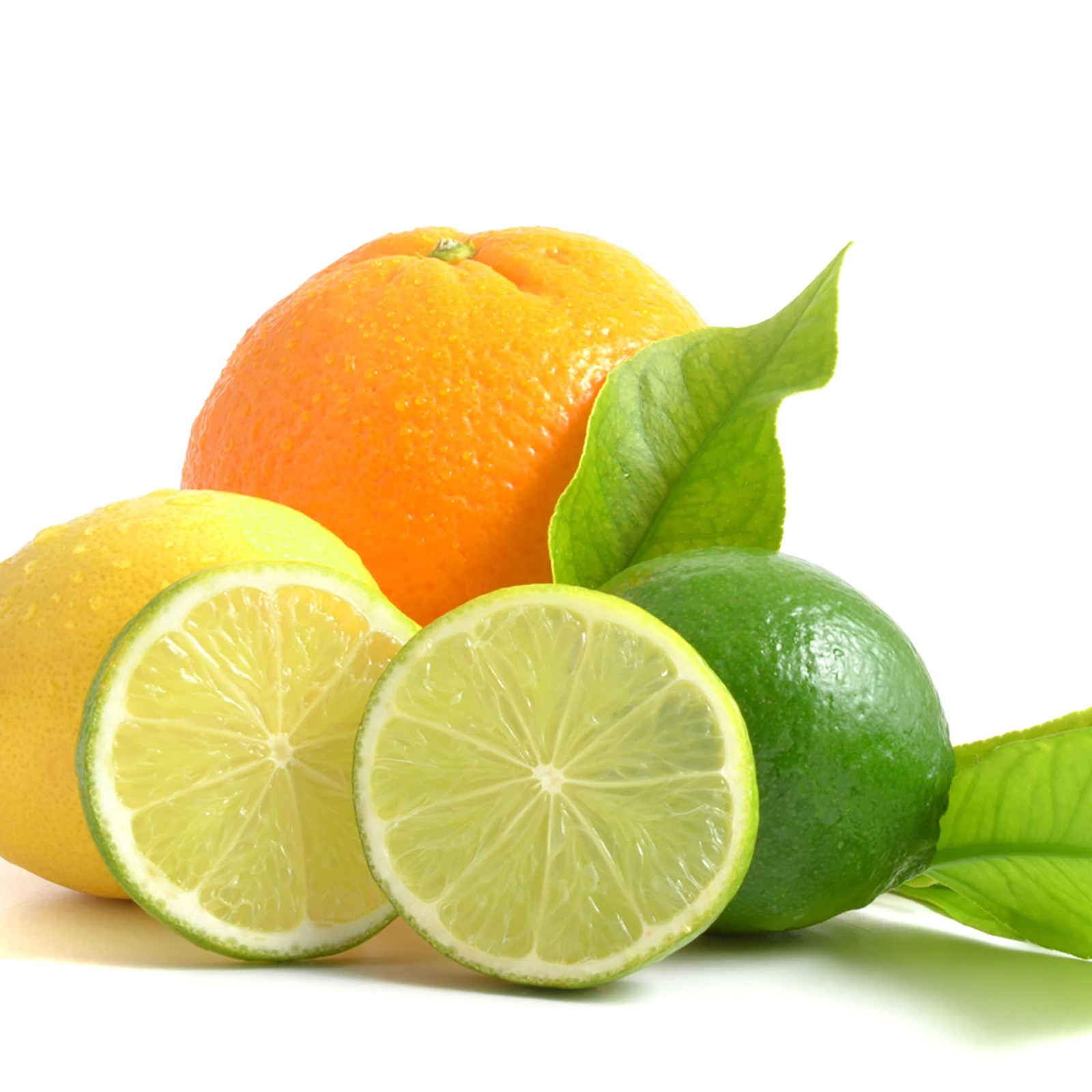 Organic Fruit Citrus Fertilizer Spikes 6 Count for Plant Growth