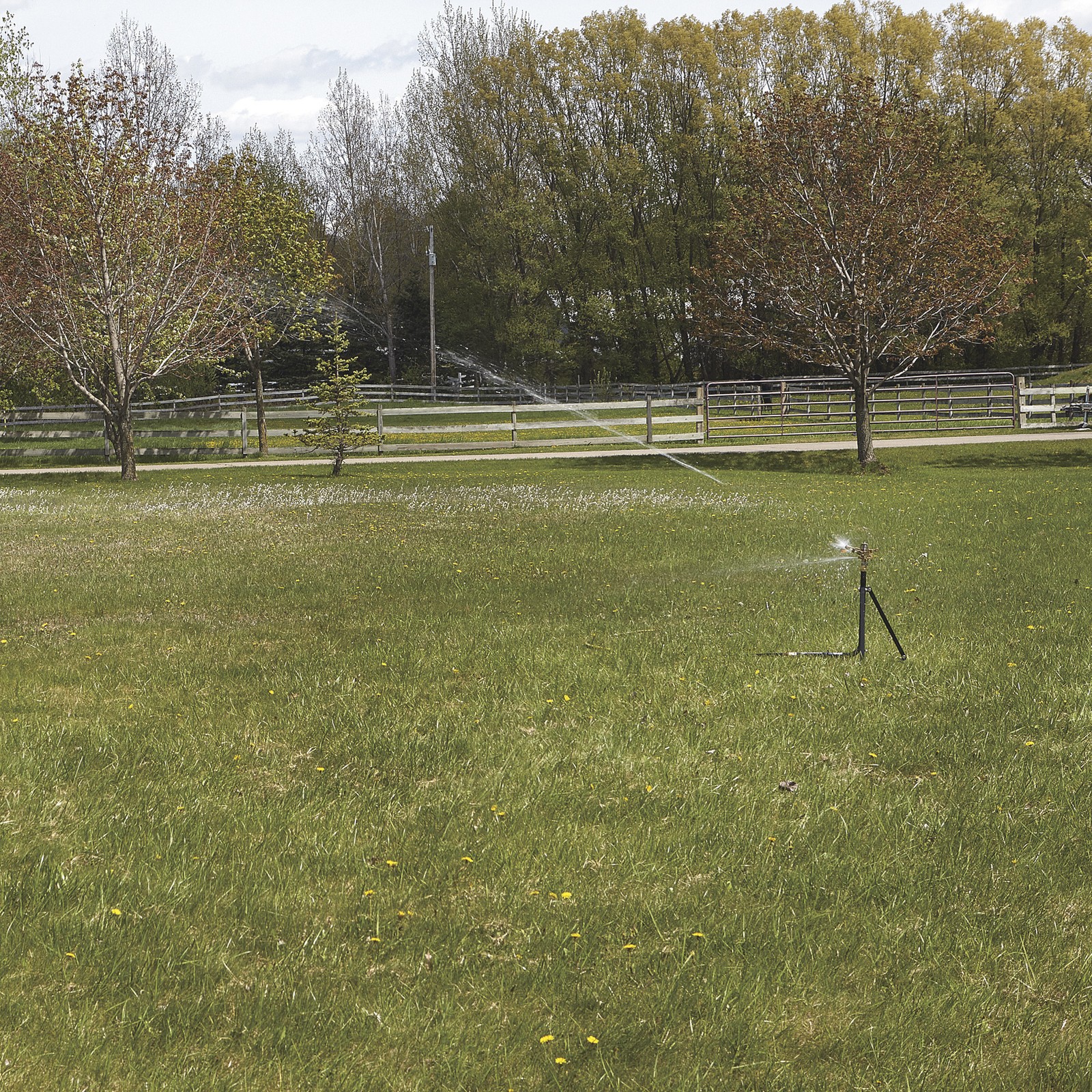 Strongway Sprinkler 3/4in. Head with 2 Nozzles, up to 10 GPM, 100ft. Dia., 7800