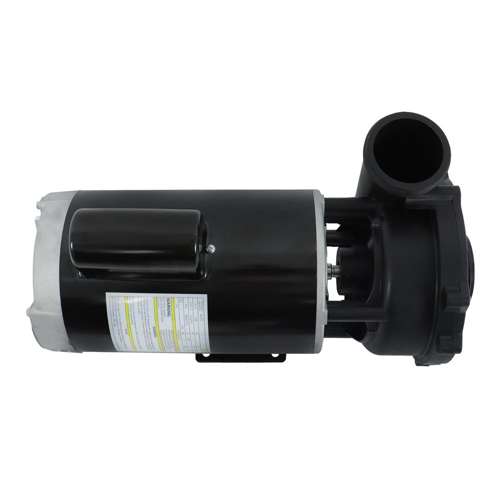 Executive 56-Frame 4HP Dual-Speed Spa Pump, 2in Intake, 2in Discharge