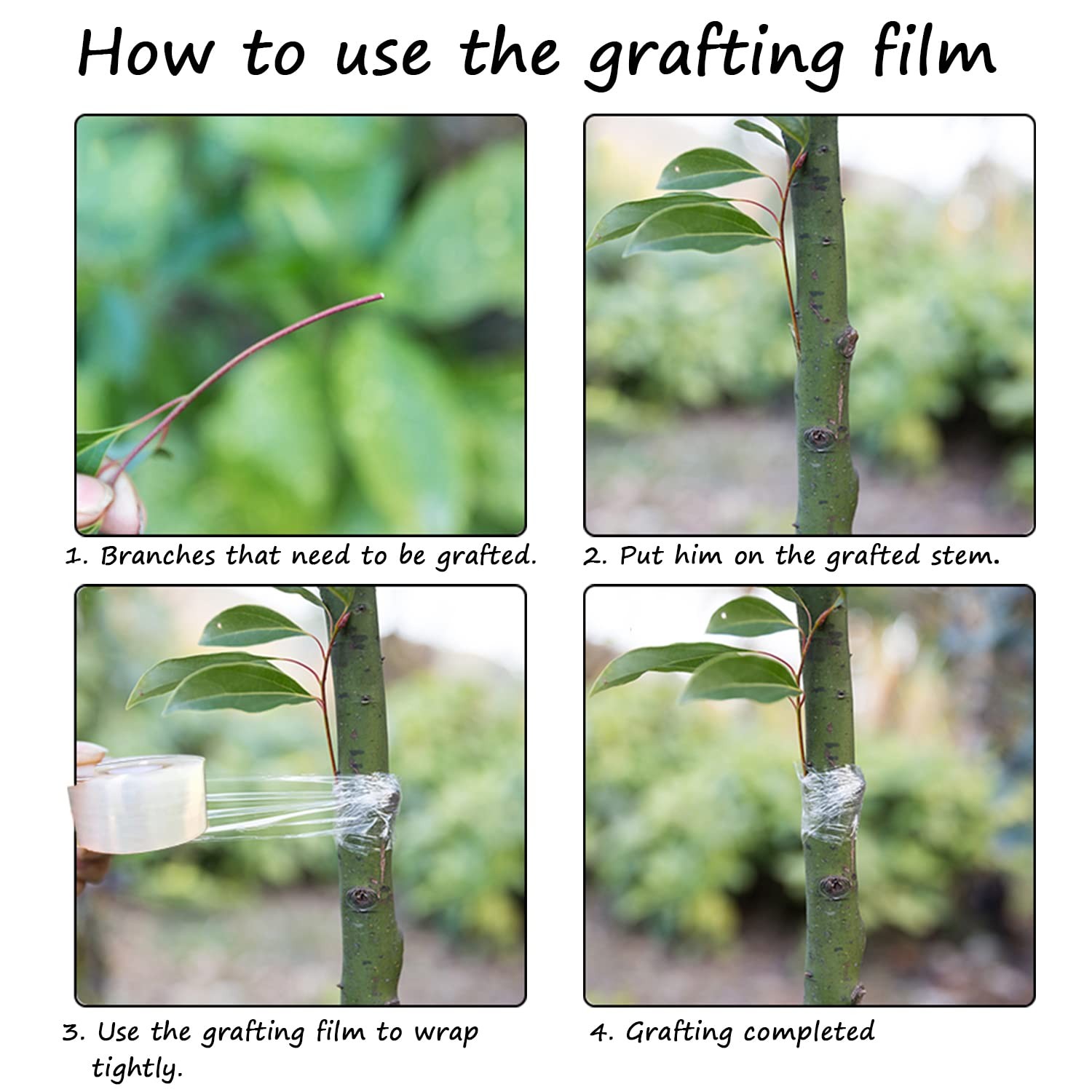 Plant Grafting Tape Stretchable Budding Film Fruit Tree Repair Wrap 2 Rolls