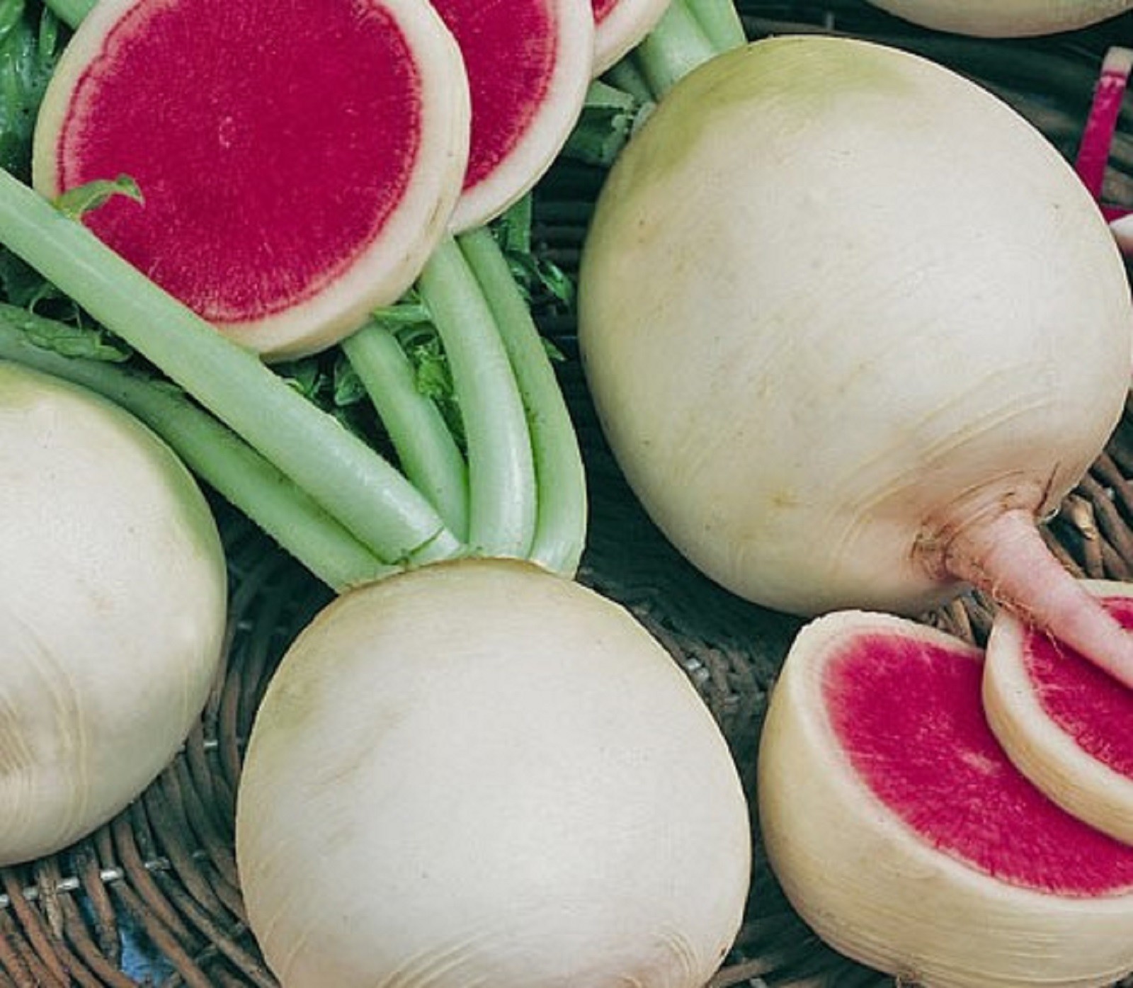 Watermelon Radish Seeds 100+ SEEDS NON-GMO –BUY 4 ITEMS FREE SHIPPING