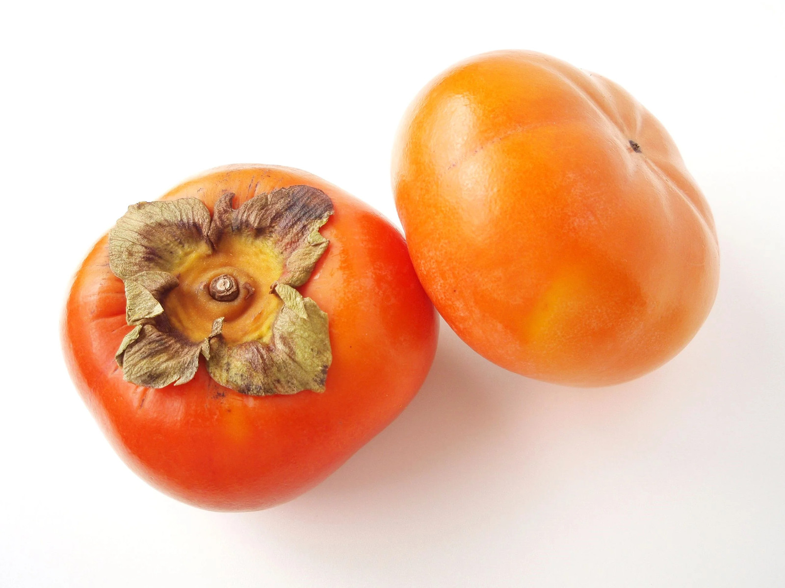 Japanese Persimmon Tree Seeds – For 2026 Planting Diospyros Kaki Fuyu Hachiya