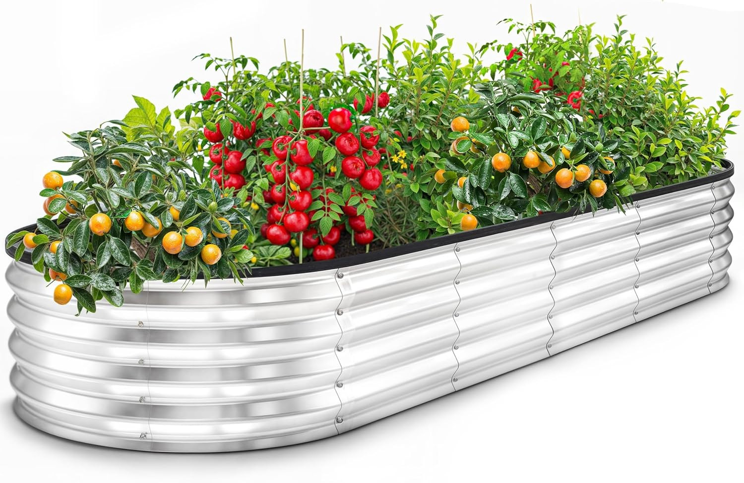 Galvanized Raised Garden Bed, 6 by 2 by 1 Feet Lightweight Planter Boxes Outdoor