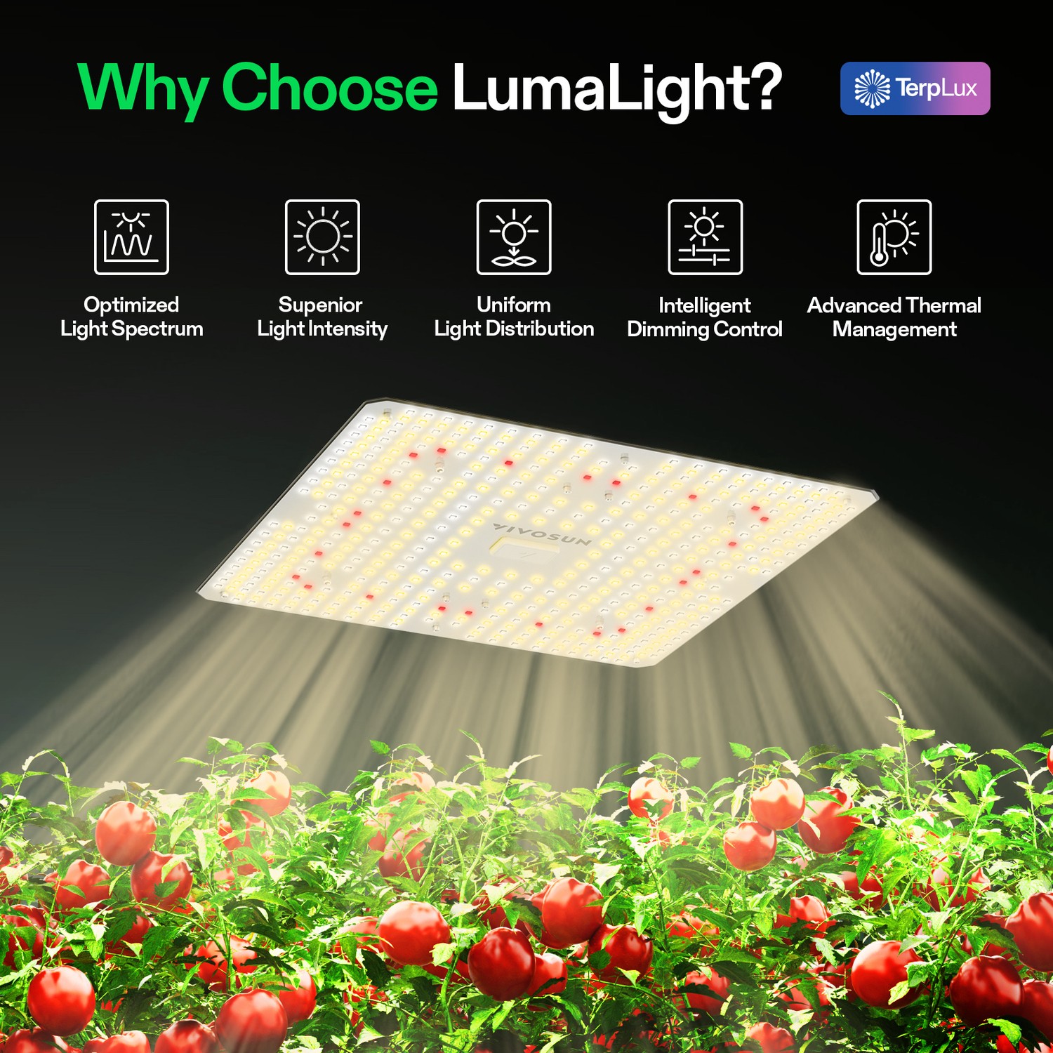 VIVOSUN Lumalight 150W Smart LED Grow Light Full Spectrum Smart Dimming for3x3ft