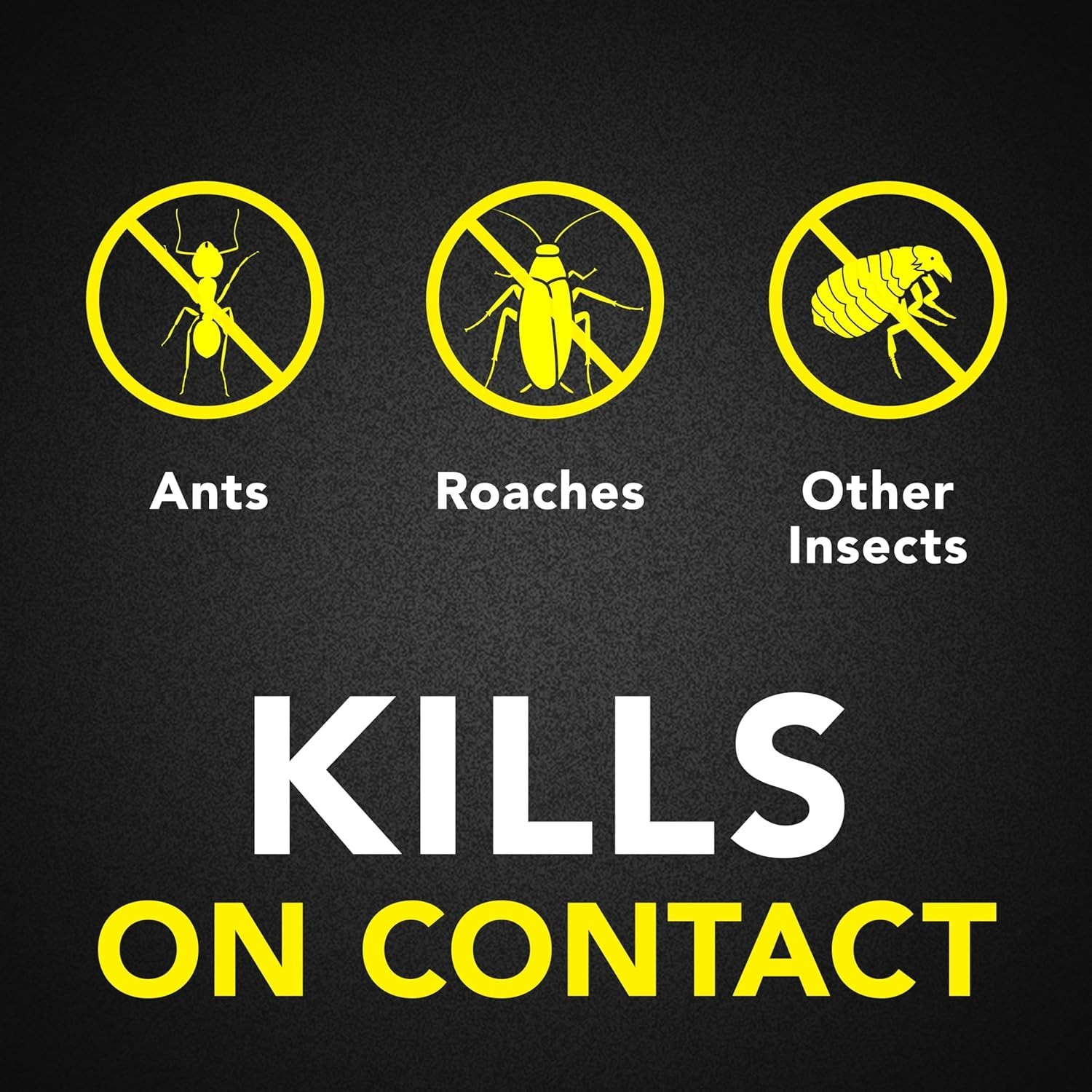 Raid® Ant & Roach Killer 26, Fragrance-Free Bug Spray, 17.5 fl. oz. 2 count. New