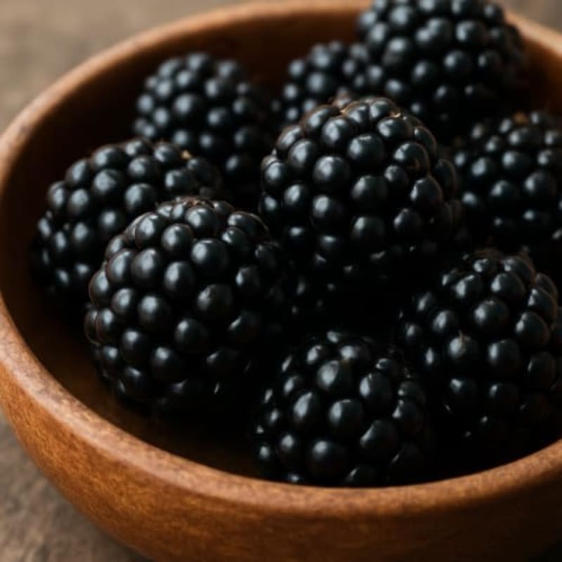Twilight Blackberry Live Plants (2-Pack) | Full Sun, Fruit for Outdoor, USDA 5