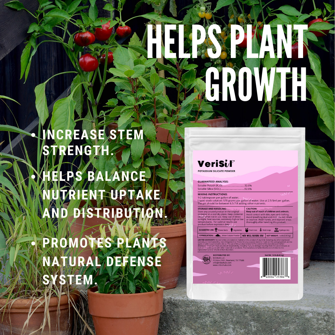 Potassium Silicate (for Plants) – 1.0 LB