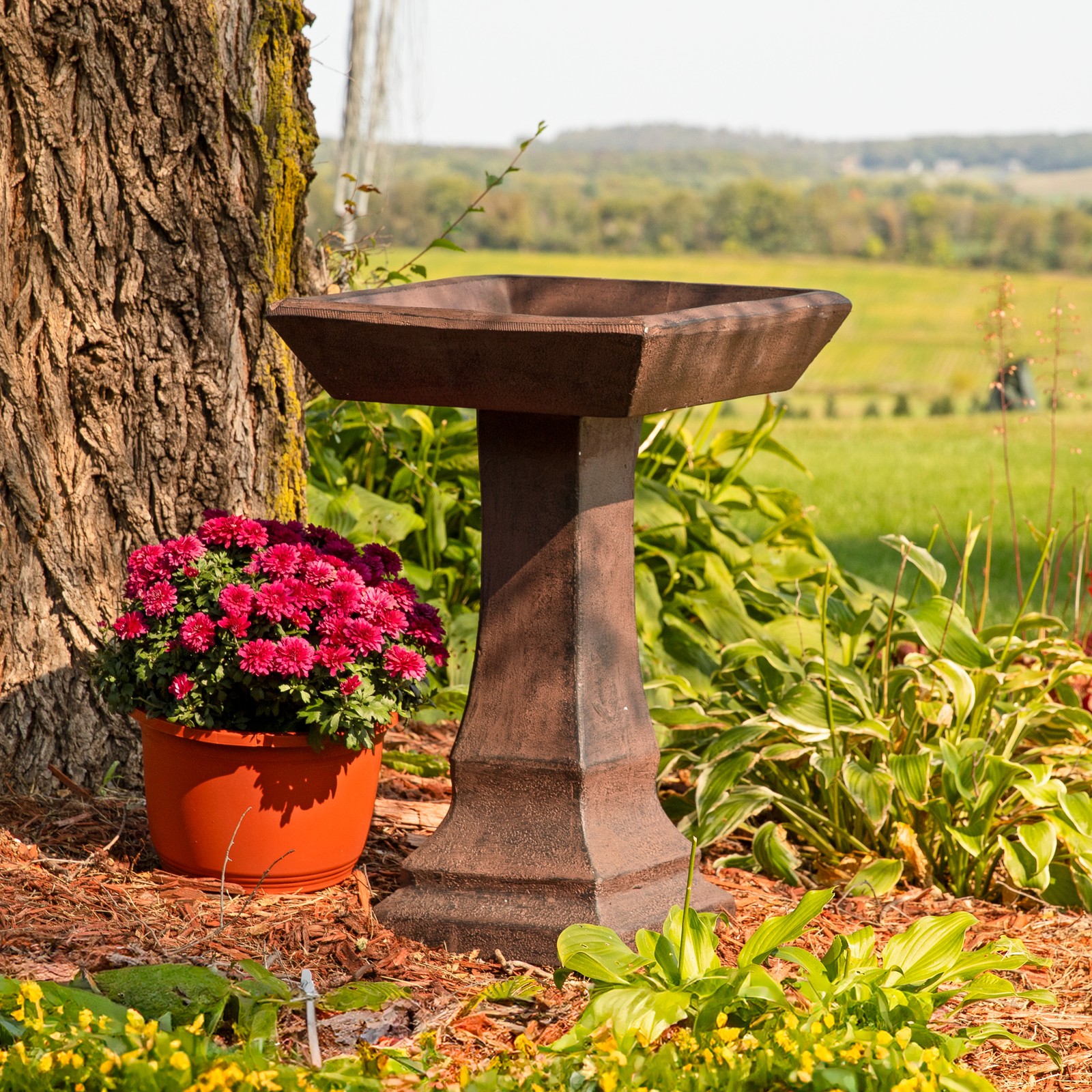 Modern Glass Fiber Reinforced Concrete Bird Bath – 23 in – Brown by Sunnydaze