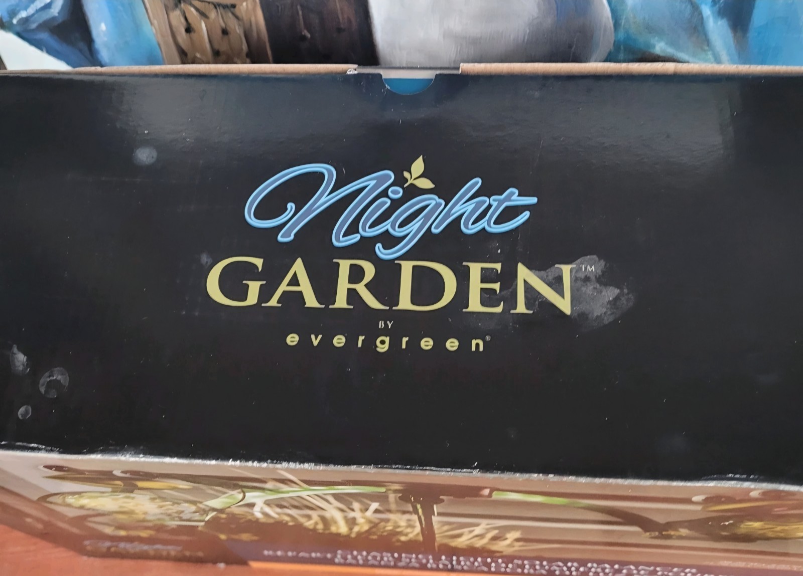 Chasing White Light Solar Balancer Garden Stike Frog