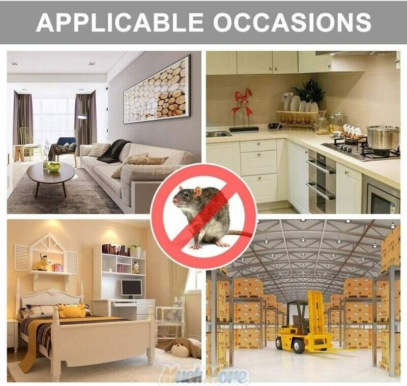 Humane Mouse Traps – 2/4 Pack – Live Catch and Release Mousetrap Reusable Cages