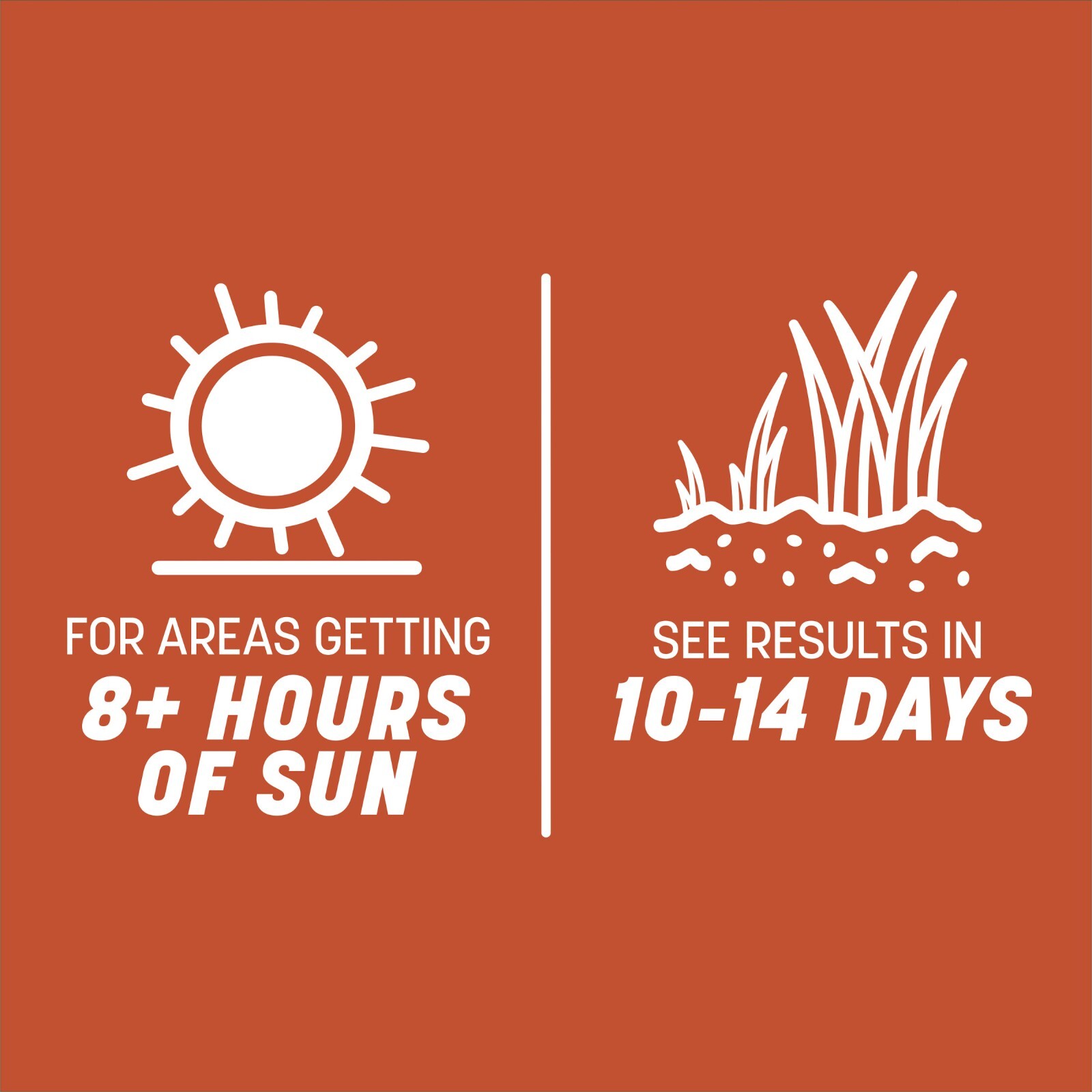 Pennington Smart Seed Texas Bermuda Grass Seed Mix, for Full Sun, 1.75 Lb.