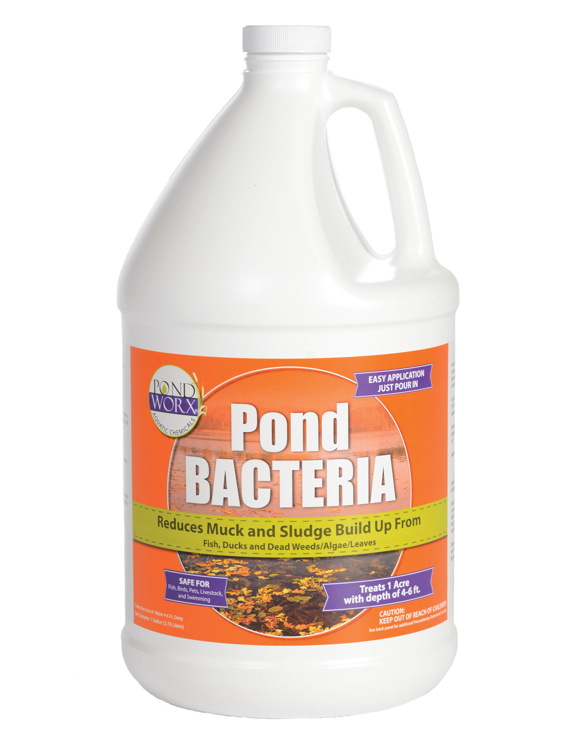 Pondworx Pond Bacteria – Formulated for Large Ponds, Water Features and Safe