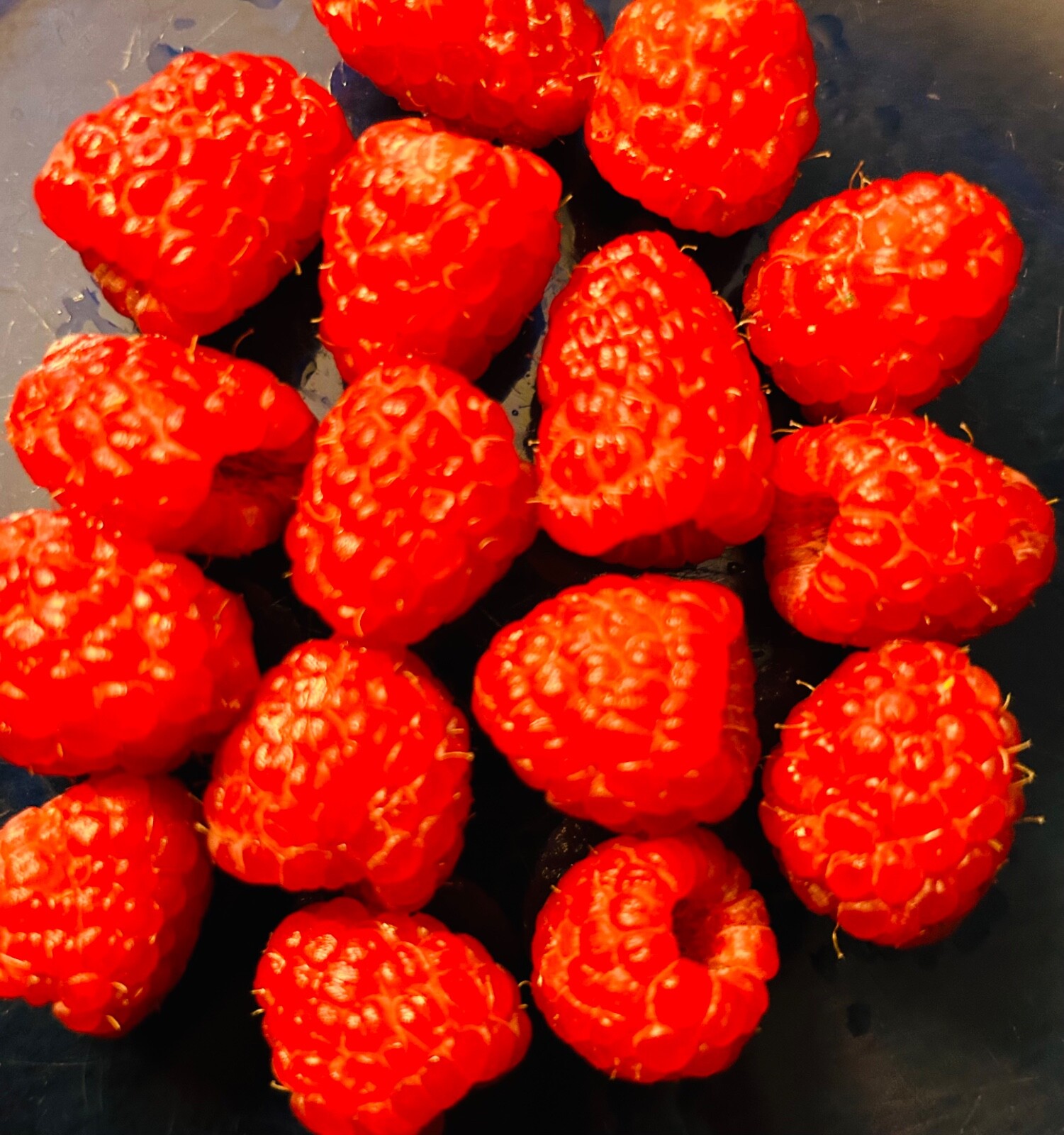 50+PCS Red Raspberry {Rubus idaeus} seeds NON-GMO Free Shipping!