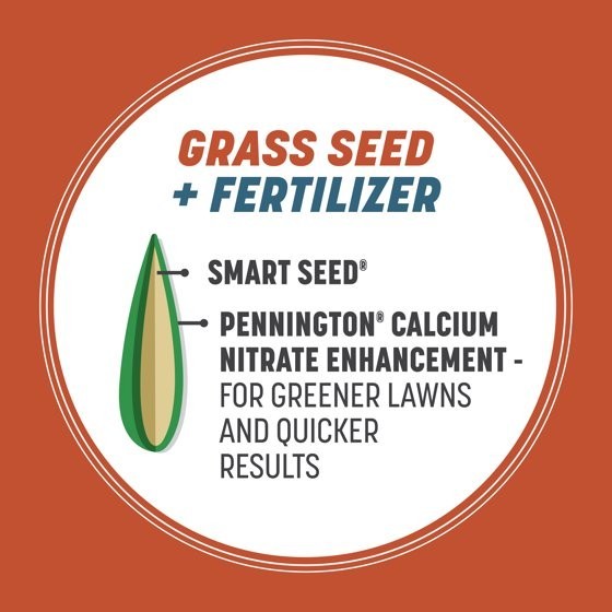 Pennington Smart Seed Texas Bermudagrass Grass Seed Mix, for Full Sun, 1.75 lb.