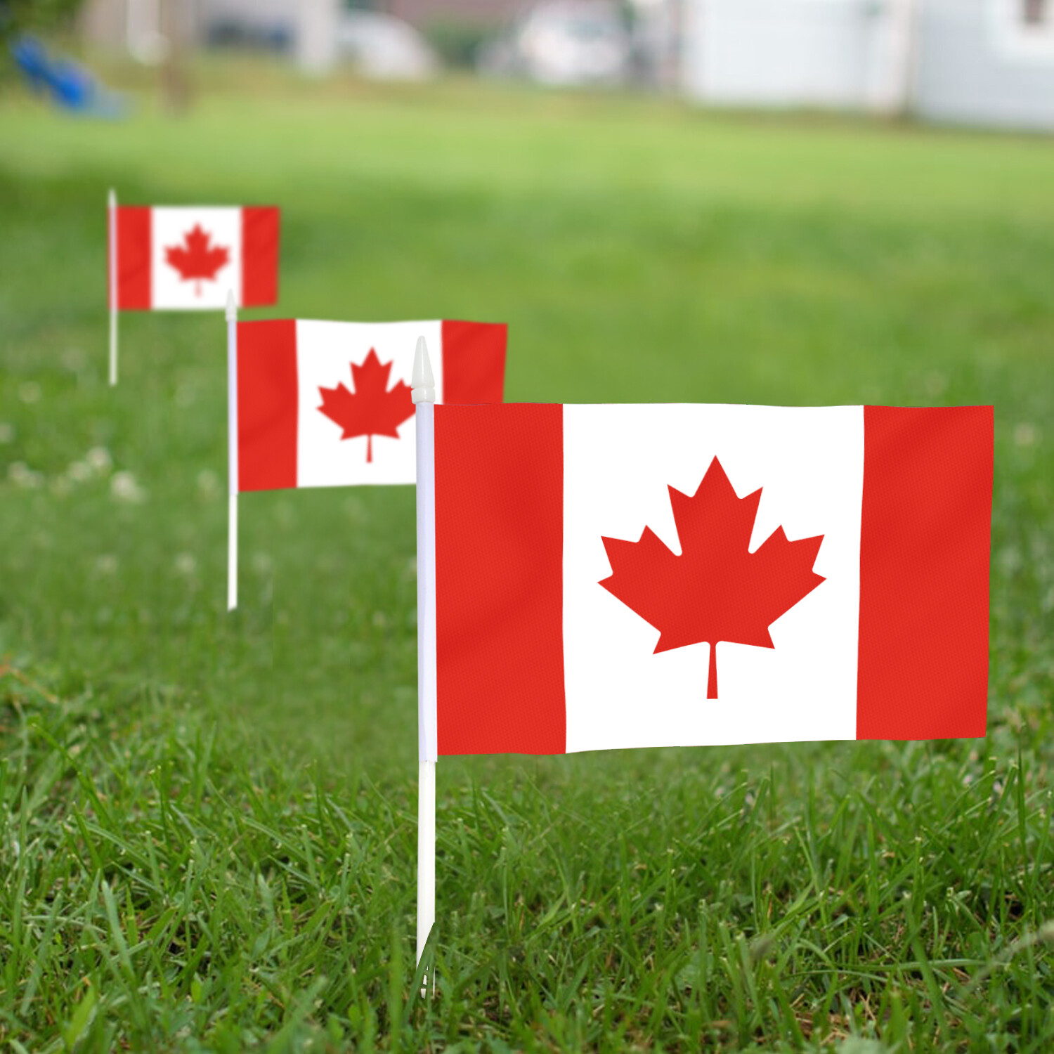 Anley Canada Mini Flag 12 Pack Hand Held Small Miniature Canadian Flags on Stick