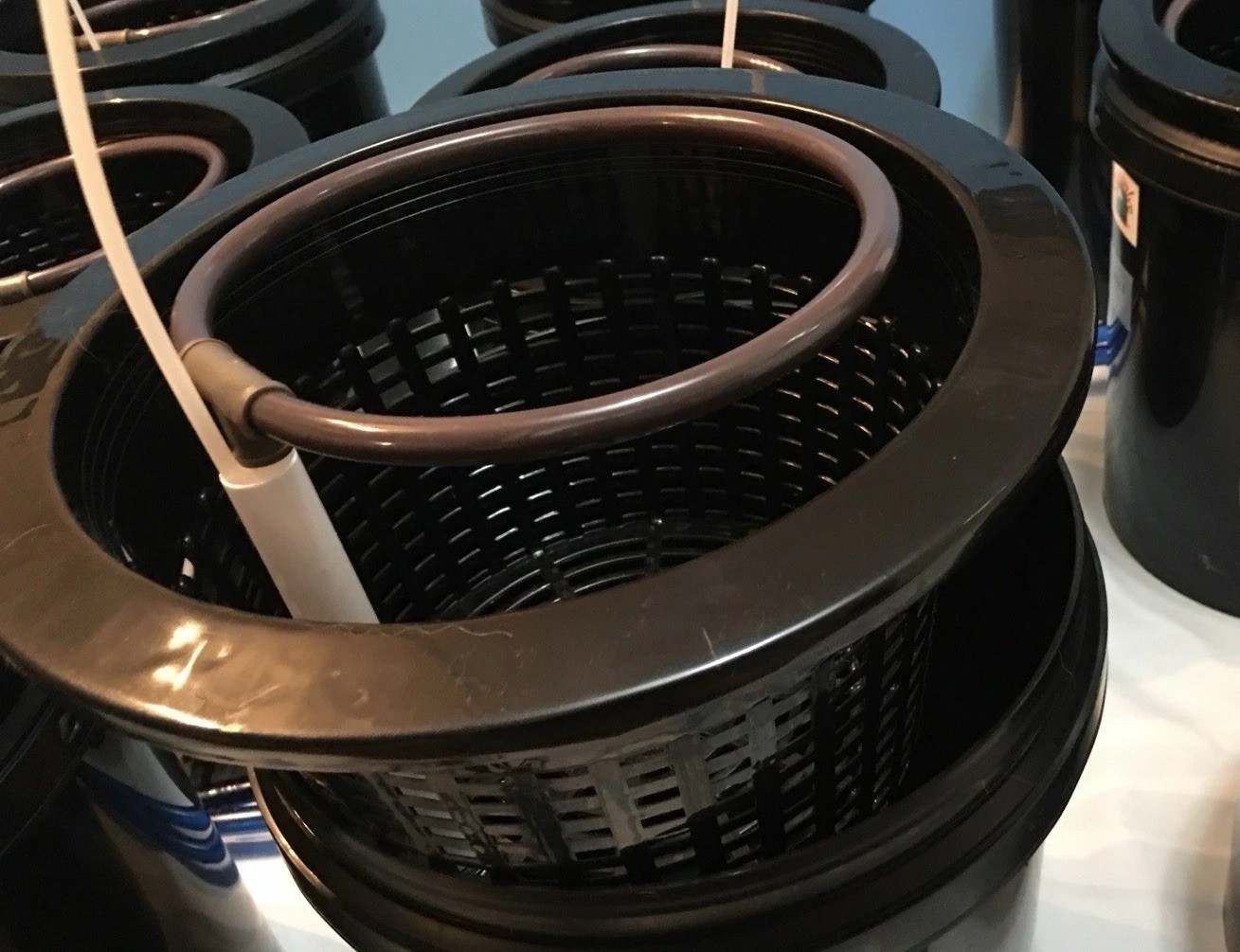 Hydroponic Aero Recirculation Deep Water Culture 30 Gallon Bucket 6 Grow System