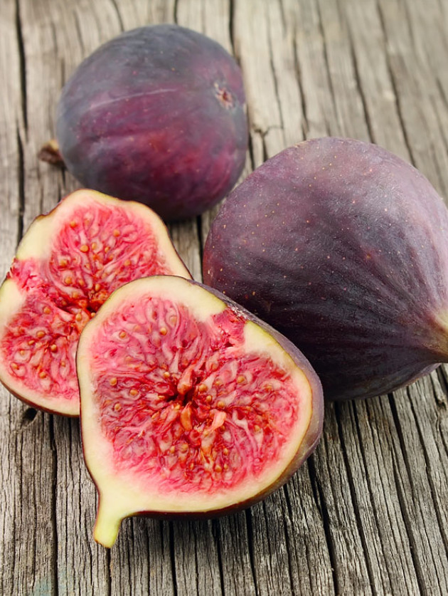 Set of 2 Live Celeste Fig Plants – 4–6″ Tall – No Pot – Edible Fruit Tree