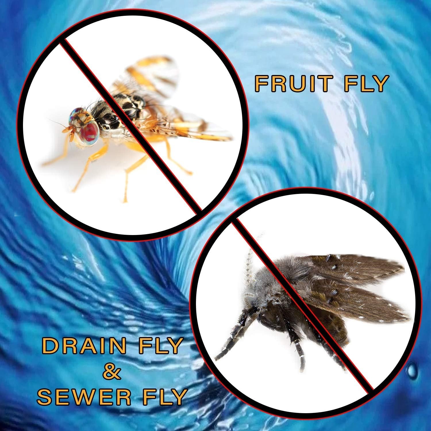 Eliminate Fruit & Drain Flies – 128oz Gel Treatment
