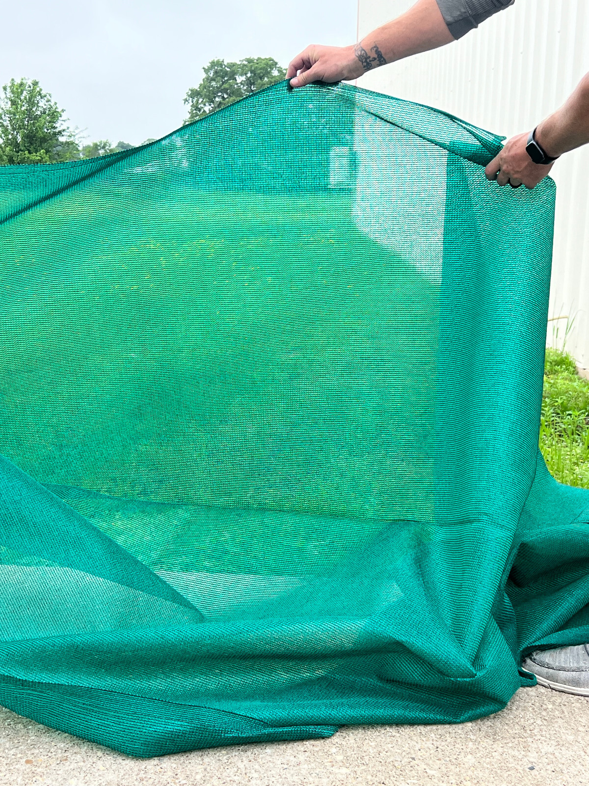 1 ROLL Green Sunscreen Sun Shade Windscreen Fabric 90% UV Block Patio 6′