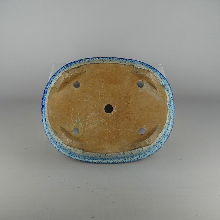 Japanese Bonsai Pot Tokoname SHUHO 13.8″(35cm) Blue Glazed Oval