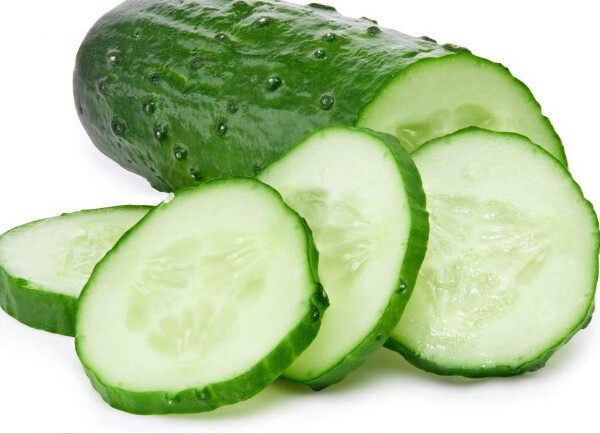 25+Bush Cucumber Seeds Spacemaster Cucumber Bush type Plant Container Garden USA