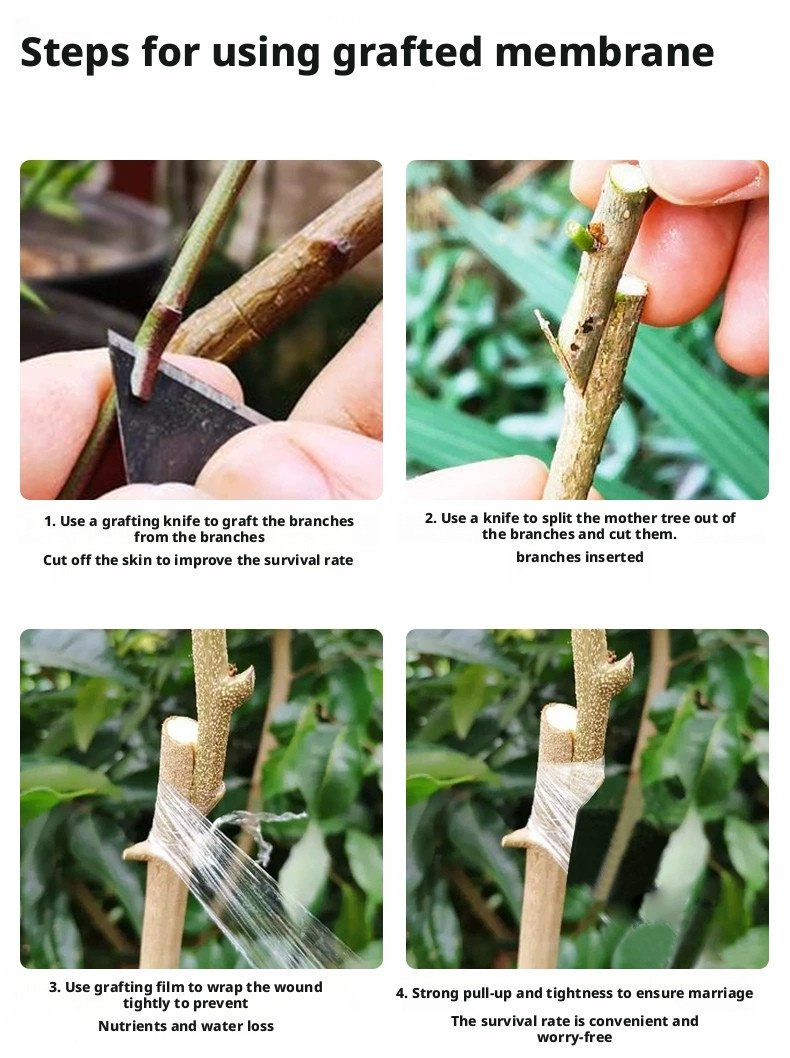 2cm Biodegradable Grafting Tape Plant Bind Belt Gardening Graft Film Eco-Friendl