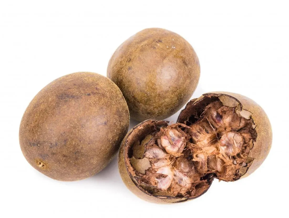 10 Luo Han Guo Seeds (Siraitia grosvenorii) Monk Fruit Plant Sweet Herb Rare