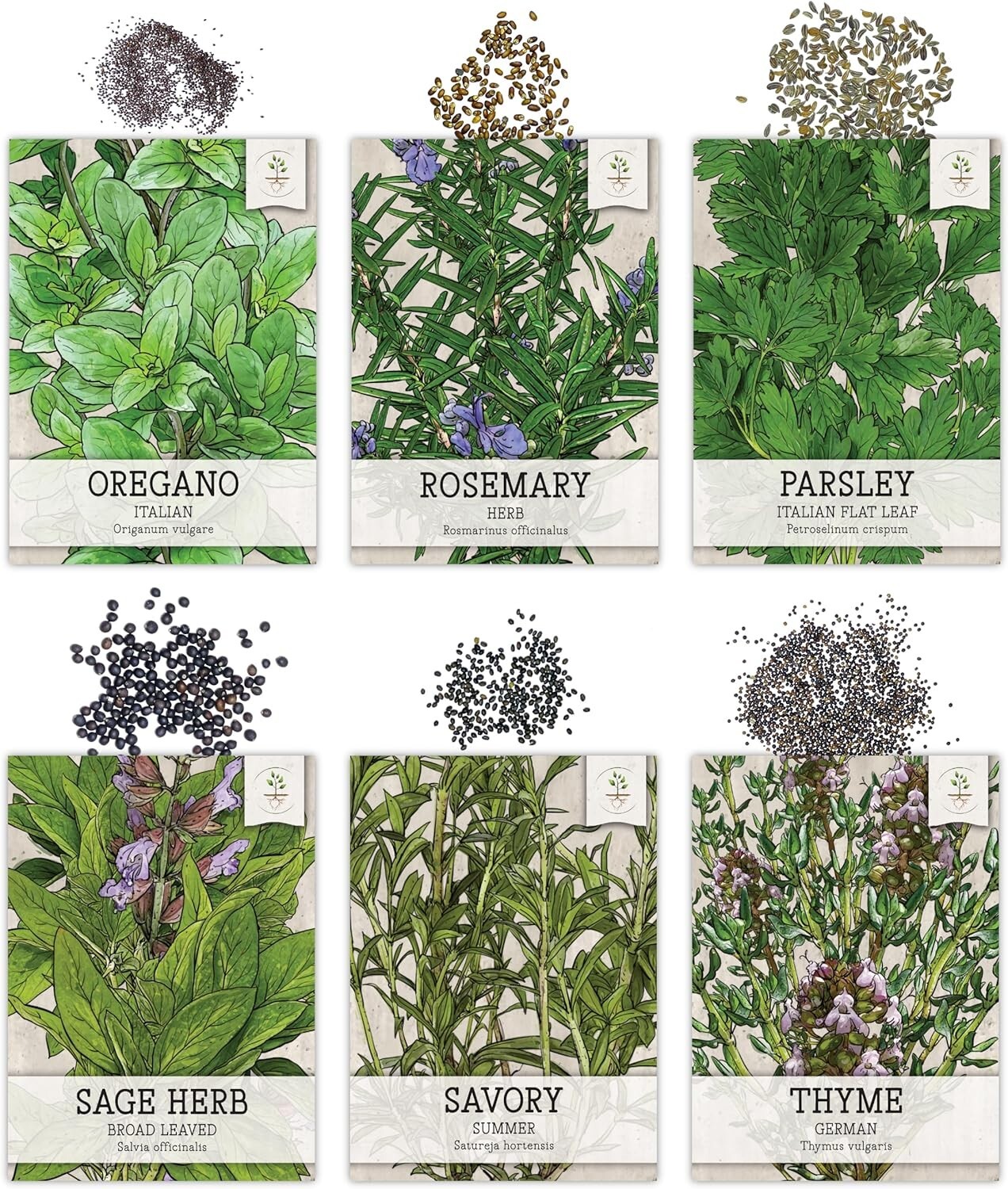 Herb Seeds Variety Pack Culinary Herb Collection (12 Individual Herbs for P