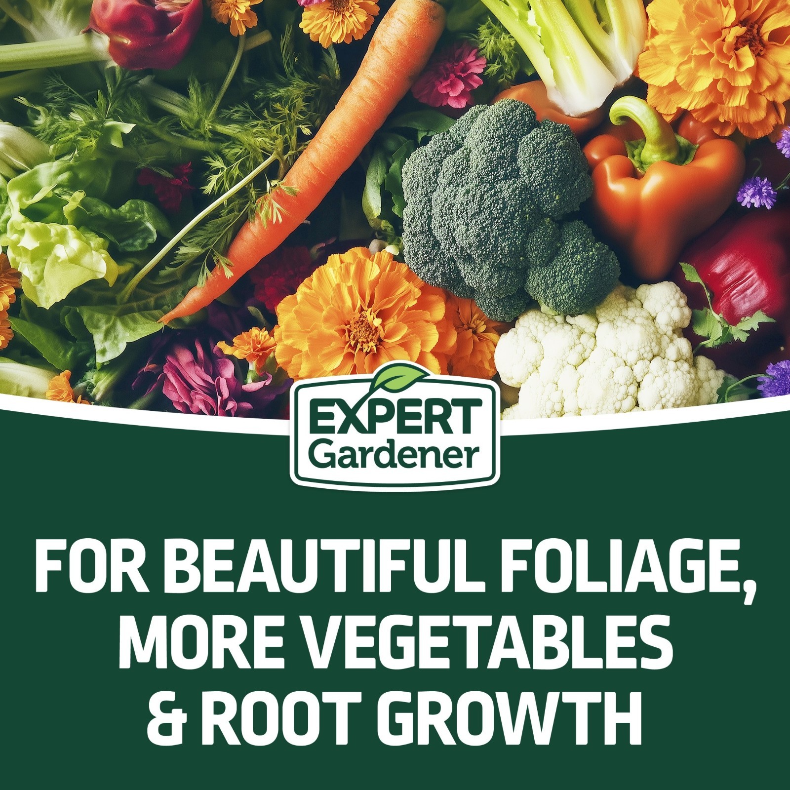 Expert Gardener All Purpose Plant Fertilizer 10-10-10 40 lb Bags 80lb (2 Pack)