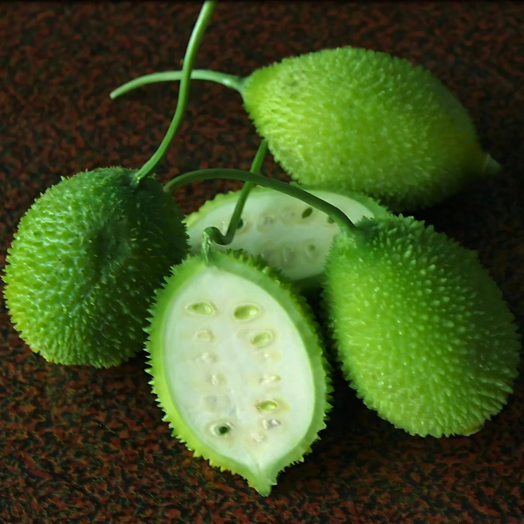 Fresh Kantola | 10 Seeds | Spiny Gourd | Kakrol | Heirloom Non-GMO | Asian Seeds