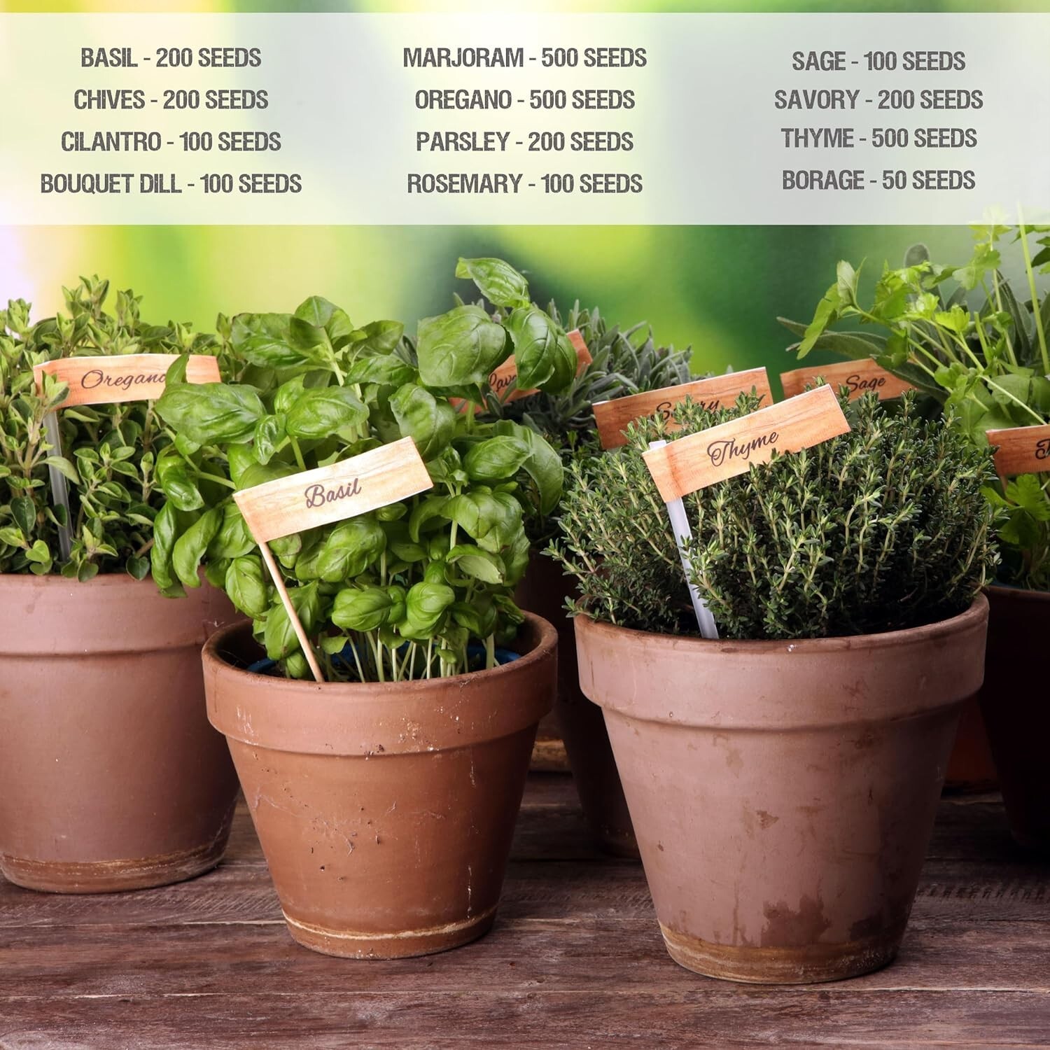 Herb Seeds Variety Pack Culinary Herb Collection (12 Individual Herbs for P