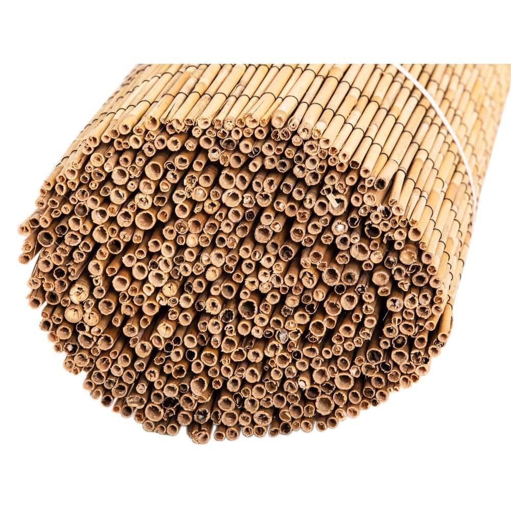 6 ft. H x 16 ft. L Natural Jumbo Reed Bamboo Fencing