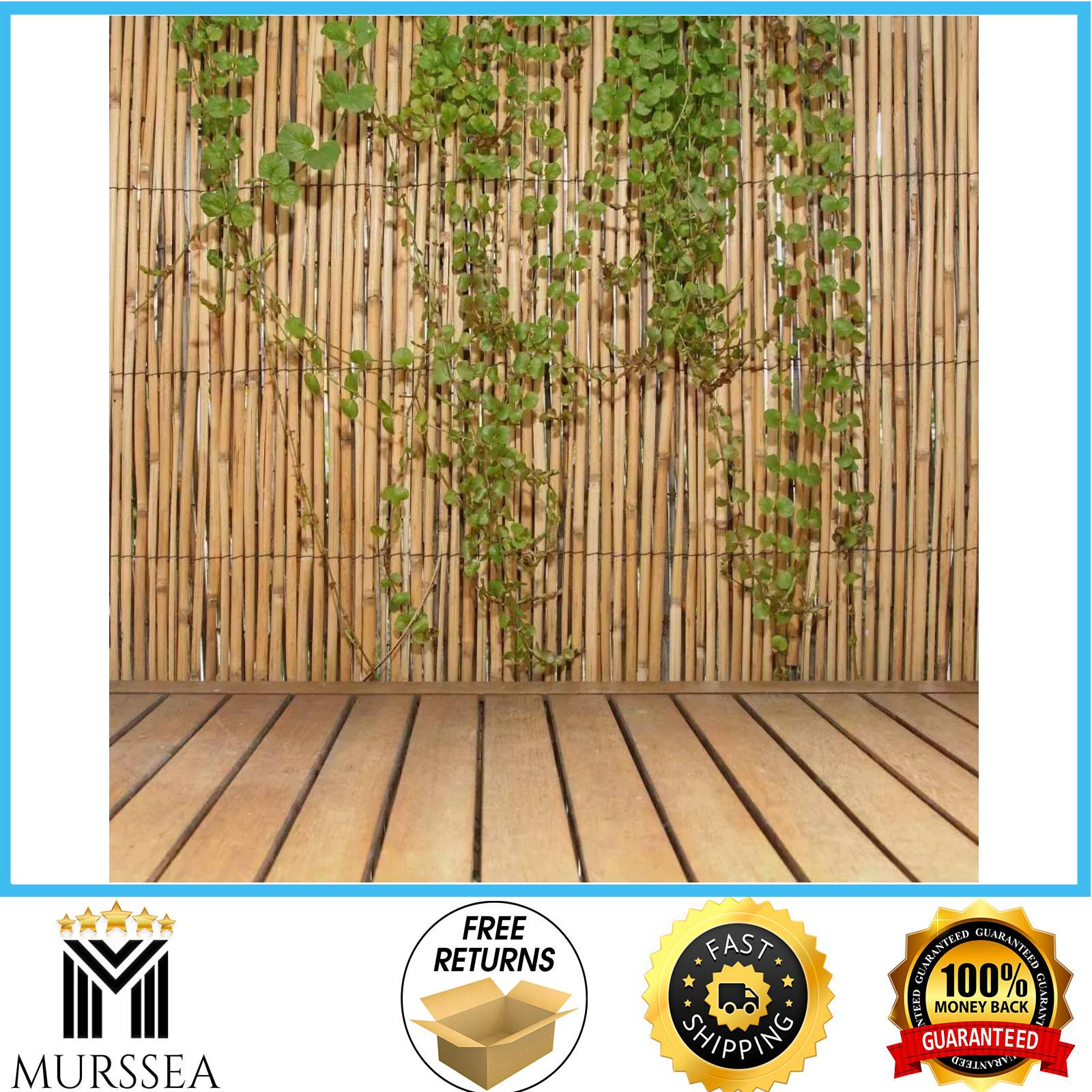 6 ft. H x 16 ft. L Natural Jumbo Reed Bamboo Fencing