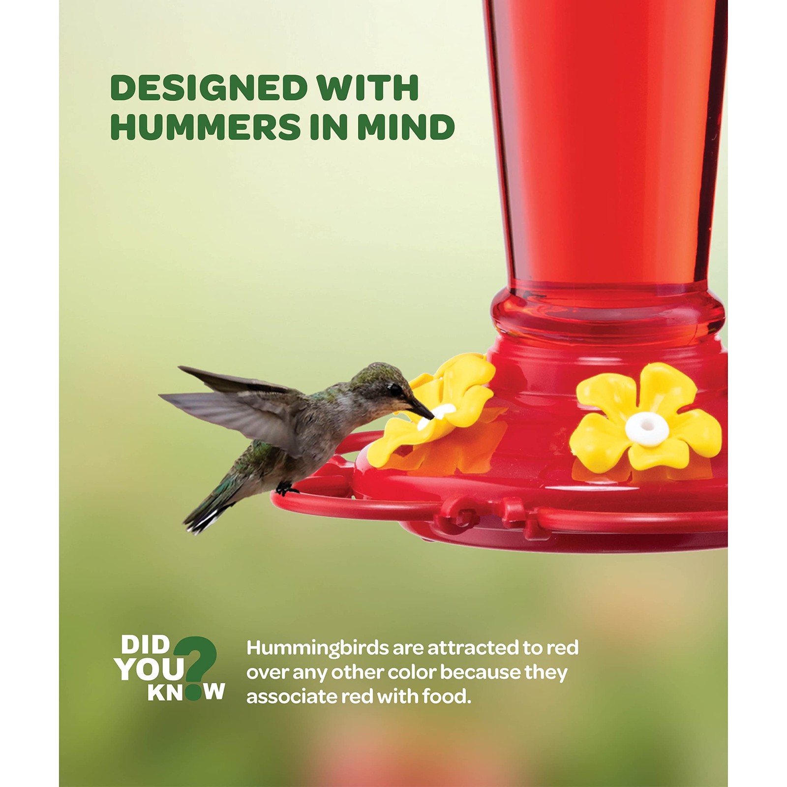 Hummingbird Feeder 10 oz [Set of 2] Plastic 10 – 2 Pack, 10 Oz-2 Pack