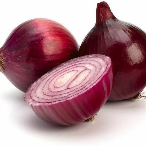 Red Burgundy Onion Seeds 250+ Vegetable Garden HEIRLOOM NON-GMO FREE SHIPPING