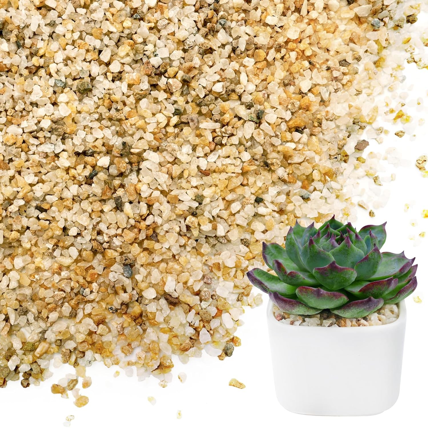 1-2mm Coarse Sand for Plants, 3lb Horticultural Grit for Succulents